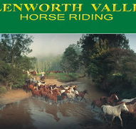 Glenworth Valley Horseriding - Accommodation Perth