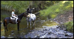 Glenworth Valley Horseriding - Accommodation Perth 1