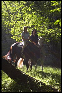 Glenworth Valley Horseriding - Accommodation Perth 2