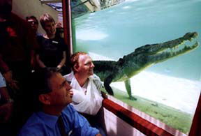 Alice Springs Reptile Centre - Accommodation Perth 1