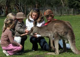 Gumbuya Park - Accommodation Perth 1