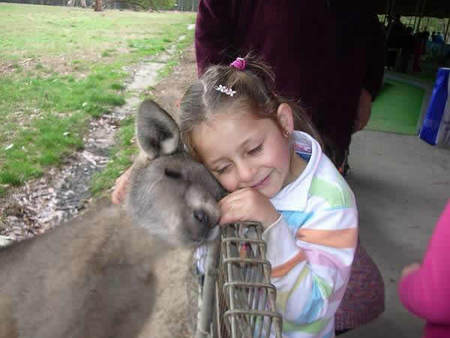 Gumbuya Park - Accommodation Perth 3