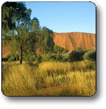 Uluru - Kata Tjuta National Park - Accommodation Perth 0