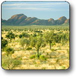 Uluru - Kata Tjuta National Park - Accommodation Perth 2