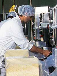 Allansford Cheese World - Accommodation Perth 1