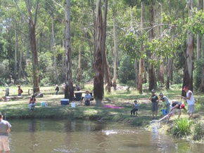 Buxton Trout And Salmon Farm - Accommodation Perth 3