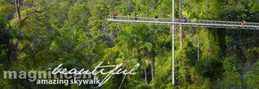 Rainforest Skywalk - Accommodation Perth 2