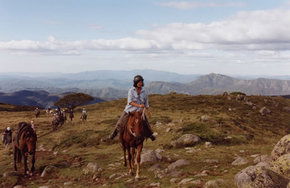High Country Horses - Accommodation Perth 0