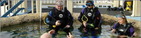 Scuba World - Accommodation Perth 2