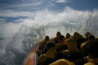 Jetboating Sydney - Accommodation Perth 1