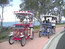 Beach Safaris - Accommodation Perth 0