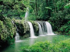 Hidden Valley Tours - Accommodation Perth 2
