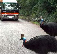 Kookaburra Tours - Accommodation Perth