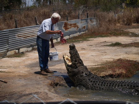 Koorana Saltwater Crocodile Farm - Accommodation Perth 1
