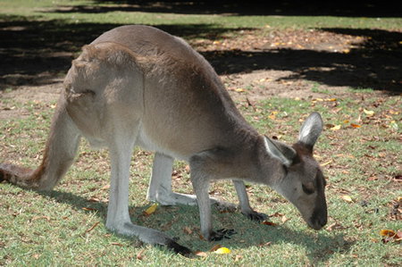 Bunbury Wildlife Park - Accommodation Perth 1