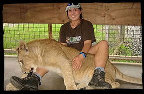 Cairns Wildlife Safari Reserve - Accommodation Perth 1