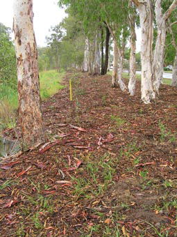 Kumbartcho Sanctuary - Accommodation Perth 1