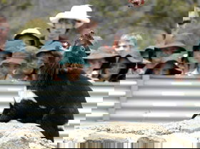 Tasmania Zoo - Perth Resorts 0