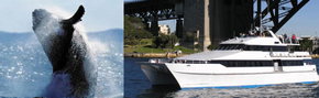 Prestige Harbour Cruises - Accommodation Perth 3