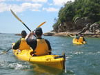 Sydney Harbour Kayaks - Accommodation Perth 1