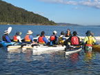 Sydney Harbour Kayaks - Accommodation Perth 2