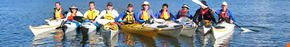 Sydney Harbour Kayaks - Accommodation Perth 3