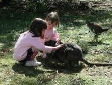 Urimbirra Wildlife Park - Accommodation Perth 1