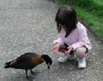 Urimbirra Wildlife Park - Accommodation Perth 3