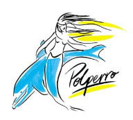 Polperro Dolphin Swims - Accommodation Perth 0