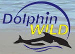 Dolphin Wild - Accommodation Perth 0