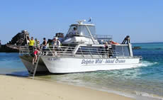 Dolphin Wild - Accommodation Perth 2