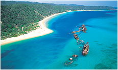 Dolphin Wild - Accommodation Perth 3