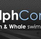 Dolphcom - Dolphin  Whale Swimming Adventures - Accommodation Perth