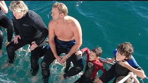 Dolphcom - Dolphin & Whale Swimming Adventures - Accommodation Perth 2