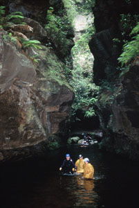 High And Wild Mountain Adventures - Accommodation Perth 1