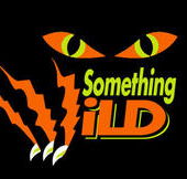 Something Wild - Accommodation Perth
