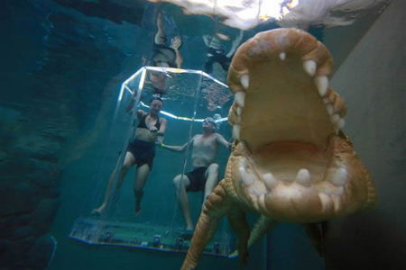 Crocosaurus Cove - Accommodation Perth 3