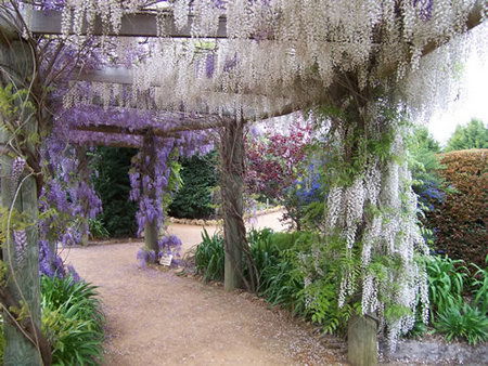 Abingdon Miniature Village - Accommodation Perth 0