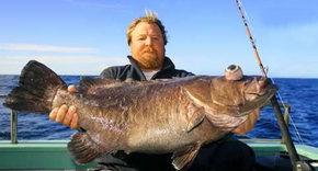 Bravo Fishing Charters - Accommodation Perth 0