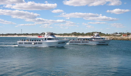 Mills Charters Fishing And Whale Watch Cruises - Accommodation Perth 2