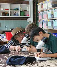 Australian National Botanic Gardens - Accommodation Perth 2