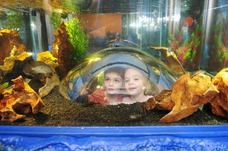 Scitech - Accommodation Perth 3