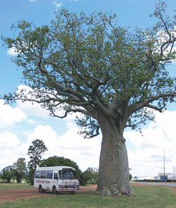 Kununurra Cruises - Accommodation Perth 1