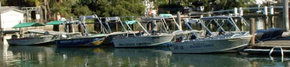 Brooklyn Central Boat Hire & General Store - Accommodation Perth 1