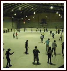 Bendigo Ice Stadium - Accommodation Perth 1