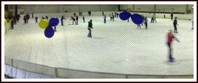 Bendigo Ice Stadium - Accommodation Perth 2