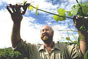 Barossa Valley SA Accommodation Perth