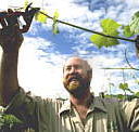 Barossa Experience Tours - Accommodation Perth