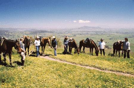 Watsons Trail Rides - Accommodation Perth 1