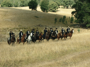 McCormacks Mountain Valley Trail Rides - Accommodation Perth